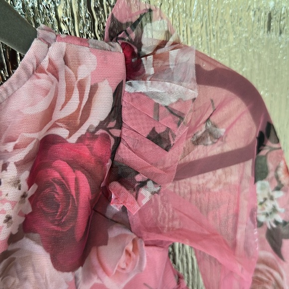 Ted Baker Valentina Floral Print Tulle Dress size 3t - Picture 11 of 13